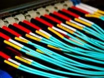 A row of muliple fiber optic cables